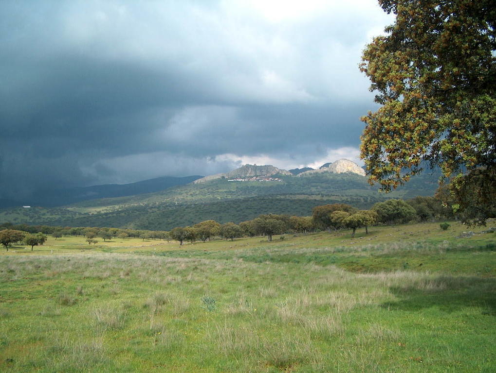 El Nido De La Collalba Διαμέρισμα Cabañas del Castillo Εξωτερικό φωτογραφία